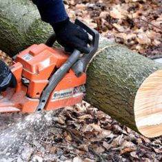 Professional Tree Cutting